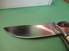 Browning Stag Folding Hunter Model 509 