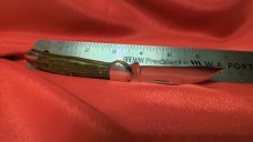 Trestle Pine Ash Pocket Knife 154CM New MIB USA & GEC (1-11) 0210 Orange Jig Bone Letter Opener NMIB