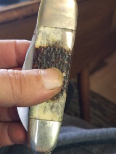 sunfish whittler