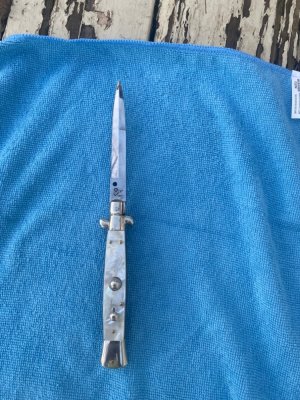 Renzo pascotto 10” mop pickllock