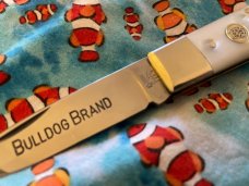 Bulldog Brand Solingen Germany Imitation Pearl Lockback Knife