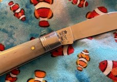 Schatt and Morgan 1 of 20 Slimline Trapper single blade Schatt and Morgan 1 of 20 Slimline Trapper single blade