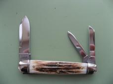 GREAT EASTERN 592322 SHAFFER FARM WHITTLER SAMBAR STAG GREAT EASTERN 592322 SHAFFER FARM WHITTLER SAMBAR STAG