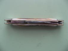 GREAT EASTERN 592322 SHAFFER FARM WHITTLER SAMBAR STAG GREAT EASTERN 592322 SHAFFER FARM WHITTLER SAMBAR STAG