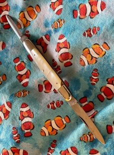Bulldog Brand Elephant Ivory 2 Blade Pen Knife.
