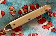 Bulldog Brand Elephant Ivory 2 Blade Pen Knife.