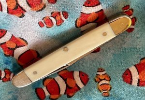Bulldog Brand Elephant Ivory 2 Blade Pen Knife.