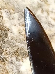 Vintage Inox Black  Stiletto  8".