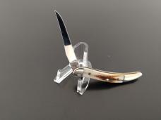 CASE TEXAS TOOTHPICK & DOCTOR KNIFE 