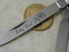 Bulldog Brand Solingen Germany PROTOTYPE Abalone Pearl Doctor's Knife Bulldog Brand Solingen Germany PROTOTYPE Abalone Pearl Doctor's Knife