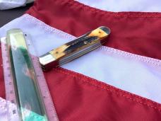 Case XX 1989, 2 Blade Trapper w/ African Lion Blade Etch, Great Deer Stag Handles & Scrolled Bolster