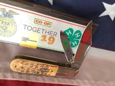 Case XX 2019 FFA 4-H, Co-Op Barlow w/ Great 2nd Cut Bone Handles