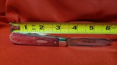 Great Eastern Cutlery Elderberry Camel Bone Old Sheffield Jack Knife Brand New 392222 W/Tube, Button