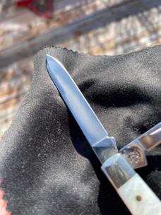 Case XX Mother of Pearl Gunstock (8215)