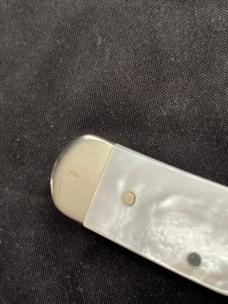 Case XX Mother of Pearl Cheetah Cub (811 1/2L)
