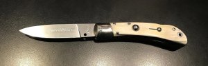 AKC Speed Hunter, Brazilian Horn Scales