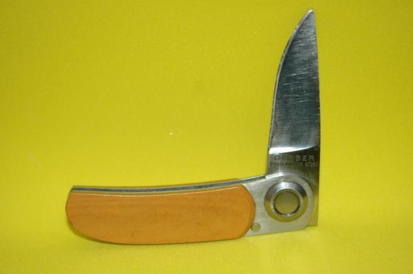 Gerber Paul with Yellow Scales