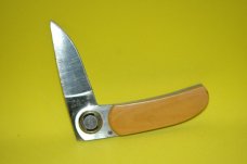 Gerber Paul with Yellow Scales
