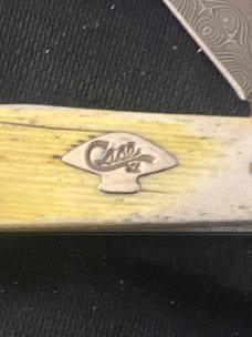 2015 Case XX USA 6254 DAM Burnt Yellow Bone Handkes Trapper With Two Tear Drop Damascus Blades 2015 Case XX USA 6254 DAM Burnt Yellow Bone Handkes Trapper With Two Tear Drop Damascus Blades