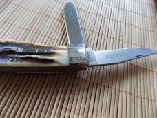 Mint Remington R1176 Baby Bullet Stag Knife-Commemorative with box Mint Remington R1176 Baby Bullet Stag Knife-Commemorative with box
