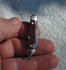 Colonial Miniature Easy Opener Two Blade Loud Snap Both Blades Bail Celluloid Handles No Shrinkage Colonial Miniature Easy Opener Two Blade Loud Snap Both Blades Bail Celluloid Handles No Shrinkage