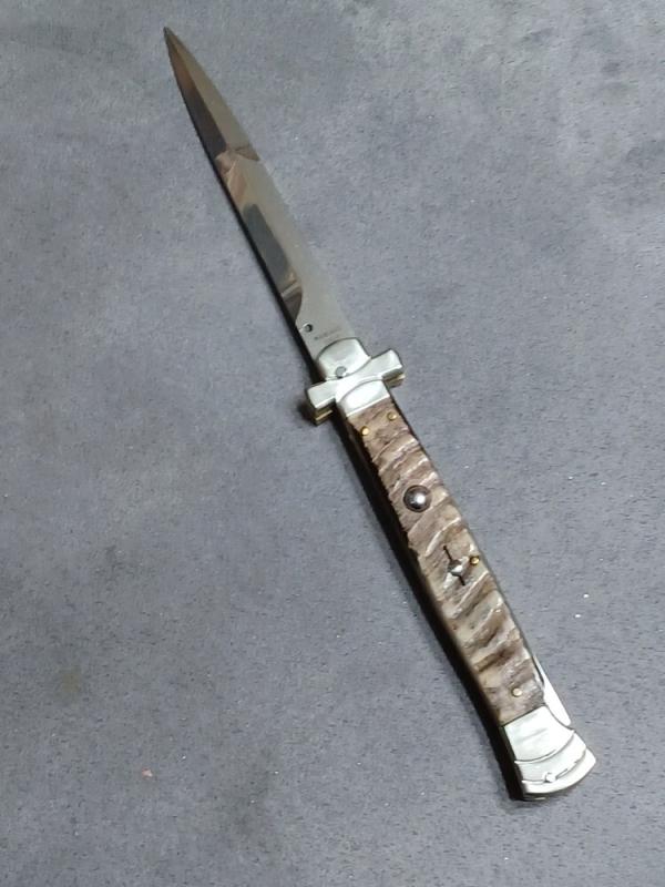 11" AGA Campolin Maltese. Ram Horn. 