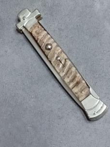 11" AGA Campolin Maltese. Ram Horn. 