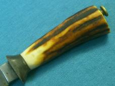 VINTAGE SMALL MINI HORN STAG FIXED BLADE BOWIE KNIFE KNIVES OLD VINTAGE SMALL MINI HORN STAG FIXED BLADE BOWIE KNIFE KNIVES OLD