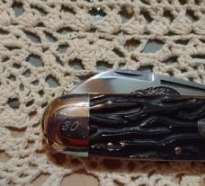 WOLVERINE 1998 2 Blade KNIFE COLLECTORS CLUB ~ BONE HANDLE ~ MINT TO GREAT ~ $70.00
