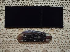 WOLVERINE 1998 2 Blade KNIFE COLLECTORS CLUB ~ BONE HANDLE ~ MINT TO GREAT ~ $70.00