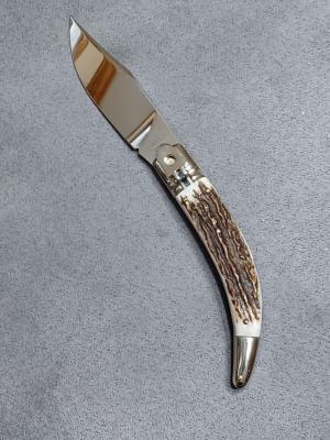 8.5" AGA Campolin Diana Stag Horn. 