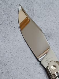 8.5" AGA Campolin Diana Stag Horn. 