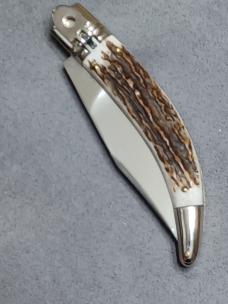 8.5" AGA Campolin Diana Stag Horn. 