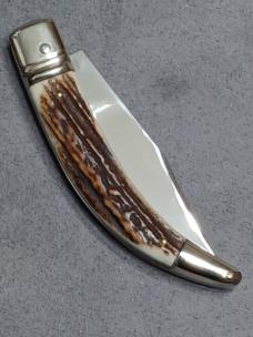 8.5" AGA Campolin Diana Stag Horn. 