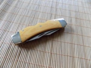 Rare: Texas Lock Horn Case XX SSP, 10 dots USA Double lockback Knife-No Box