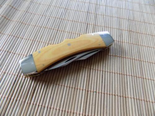 Rare: Texas Lock Horn Case XX SSP, 10 dots USA Double lockback Knife-No Box