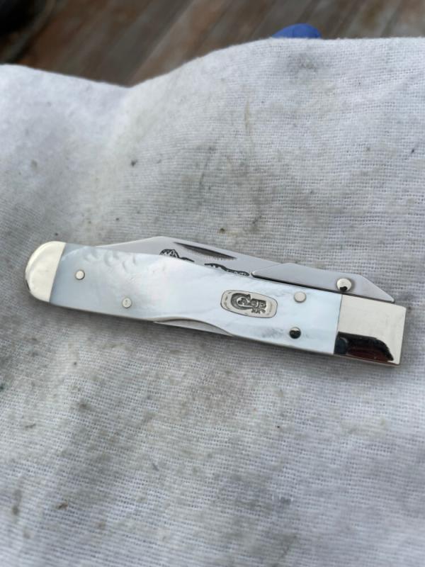 Case XX Mother of Pearl Cheetah Cub (811 1/2L)