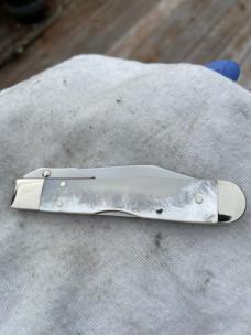 Case XX Mother of Pearl Cheetah Cub (811 1/2L)