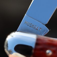 Unused Case XX Muskrat knife. Snaps, no cracks. Factory blades from 1940’s. Mint. Rare, like new