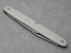 Case Tested XX Imitation Pearl Office Pen Knife c.1970's Case Tested XX Imitation Pearl Office Pen Knife c.1970's