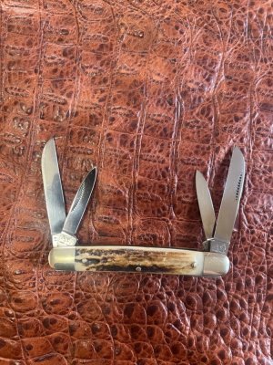 Bulldog Brand 1st Generation Old Chum Stag Congress 1983