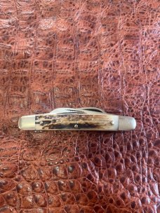 Bulldog Brand 1st Generation Old Chum Stag Congress 1983