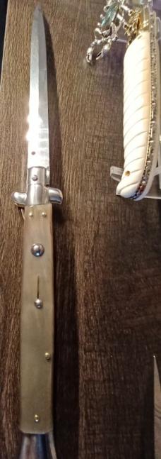 13 inch Frank Beltrame swivel bolster 13 inch Frank Beltrame swivel bolster