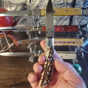 AKC SPEED HUNTER