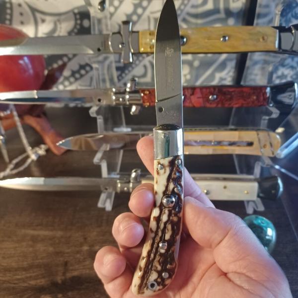 AKC SPEED HUNTER AKC SPEED HUNTER