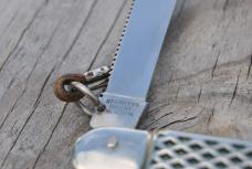 Puma Solingen Germany Fish Knife Mint Mirror Polish 5 3/4" Closed Original Fish measuring Cord