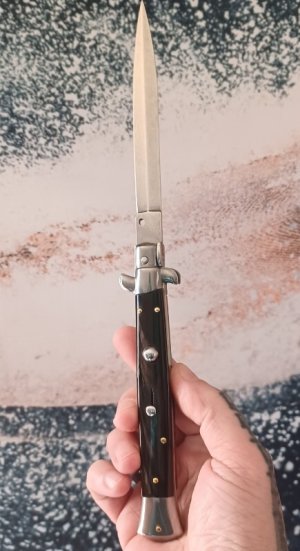 11 inch Frank Beltrame 