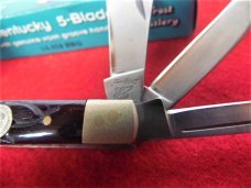 FROST CUTLERY KENTUCKY 5 BLADE IN BOX YEAR UNKNOWN UNUSED FROM STORAGE WORM GROOVE SCALES FROST CUTLERY KENTUCKY 5 BLADE IN BOX YEAR UNKNOWN UNUSED FROM STORAGE WORM GROOVE SCALES