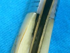 BONE SCHATT MORGAN TITUSVILLE PA DFC BAREHEAD FOLDING JACK POCKET HUNTING PEN JACK KNIFE KNIVES OLD BONE SCHATT MORGAN TITUSVILLE PA DFC BAREHEAD FOLDING JACK POCKET HUNTING PEN JACK KNIFE KNIVES OLD