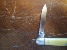 Case XX  32017 Dot Pen Senator Knife